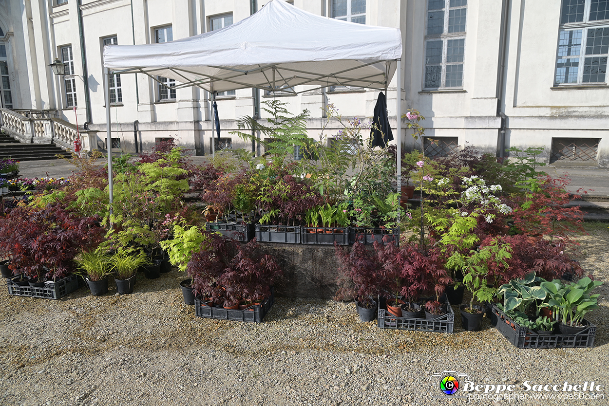 VBS_8962 - Mostra Mercato FloReal 2024.jpg